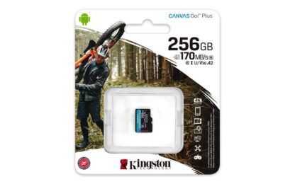 MicroSD Kingston Canvas GO Plus 256GB, Class 10 - UHS I, U3, V30, A2 [1]